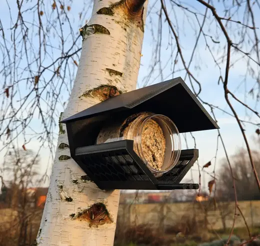 birds feeder jar