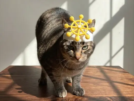 Casco Gato Mahoraga