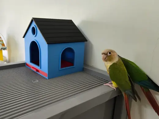 Modular Birdhouse with Removable Tray