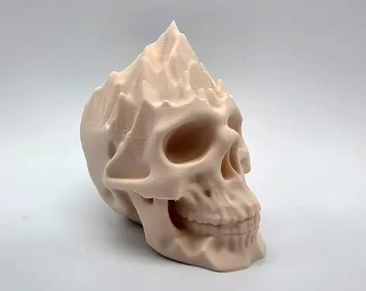 Mountains on my Mind Skull