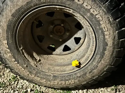 Jeep Duck Valve Cap