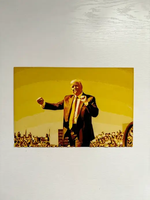 Donald Trump Dances HueForge