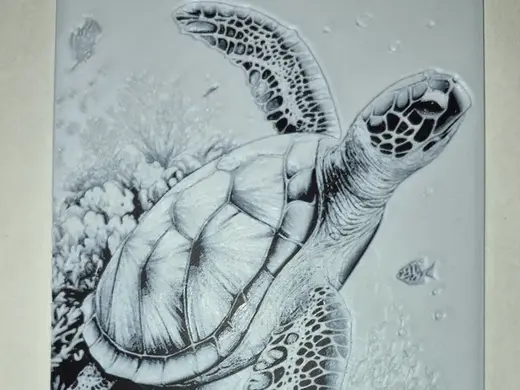 Serene Sea Turtle Reef