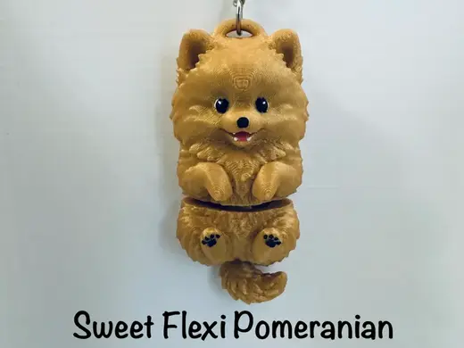 Sweet Flexi Pomeranian keychain