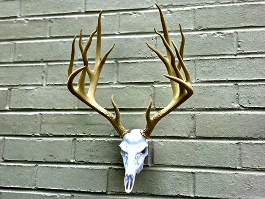 Whitetail Deer Skull "FIERCE" Antler Set - BAS