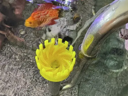 Skimmer Aquarium
