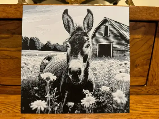 Donkey in Pasture with Barn - Hueforge