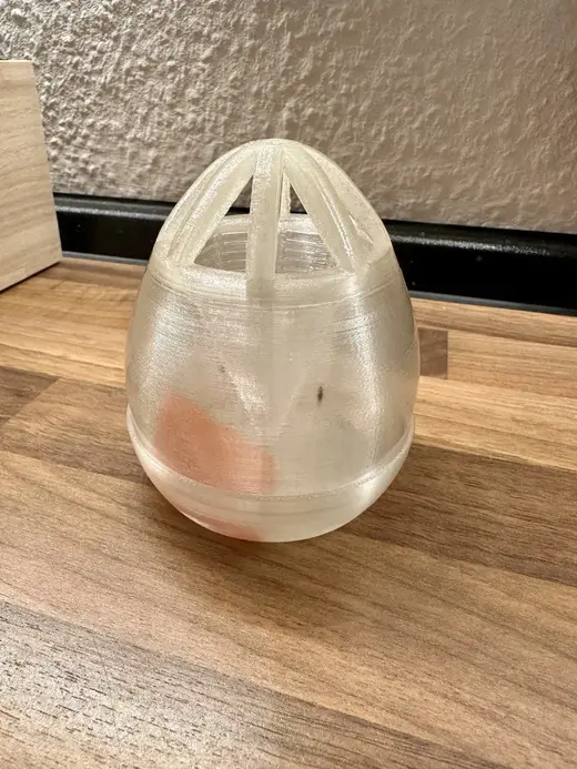 Fruit fly trap egg