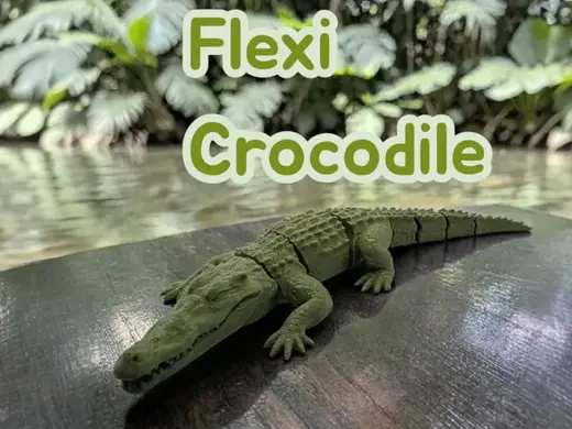 Flexi Crocodile