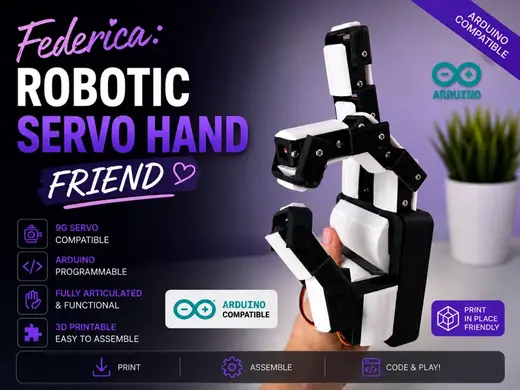 Federica: a Robotic servo Hand Friend