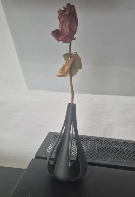 Vaso design con provetta - vase with internal lube