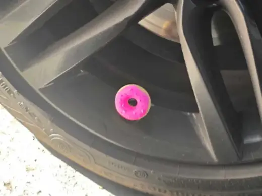 Donut Valve Cover ( Tight )
