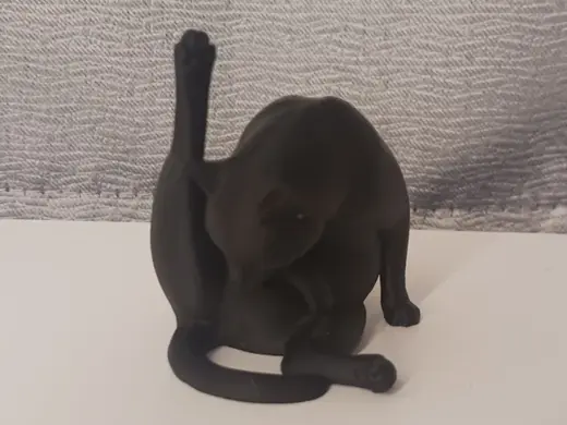 Cat Licking with Paw Up
