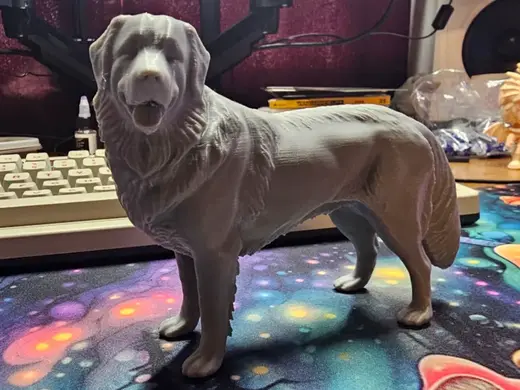 Great Pyrenees dog (Gypsy)