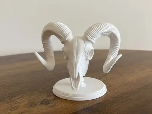 Ram Skull with Horns on Stand - Decorative Model