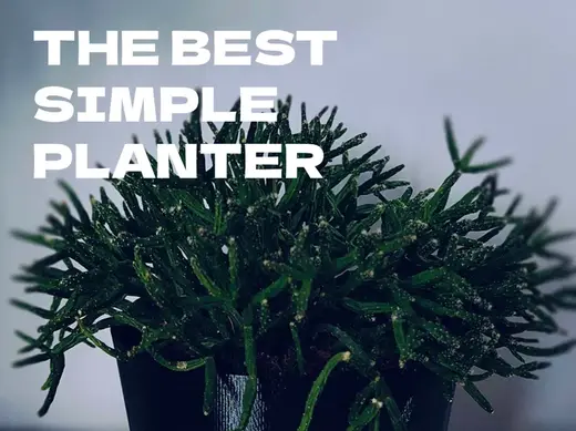 The Best Simple Planter - 45g!