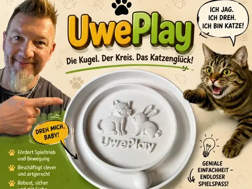 Katzenspielzeug Ballbahn