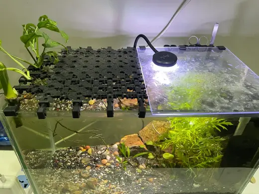 Fish Tank Modular Pant Holder and Lid