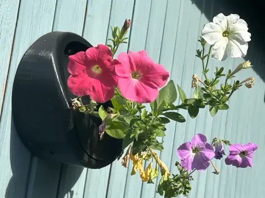 Wall Mounted Planter Flower Pot