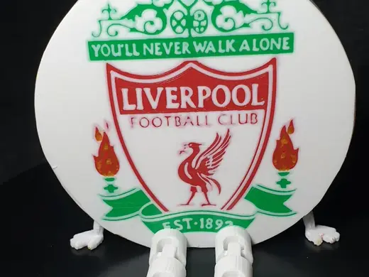 Liverpool FC shield with flexi legs