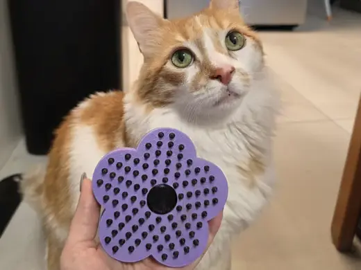 Cat and Dog Brush with TPU Bristles (No AMS!)