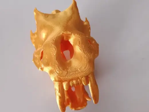 saber-toothed tiger skull
