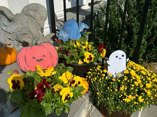Halloween - Bat, Ghost and Pumpkin lawn stakes!