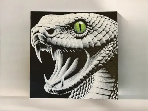 Hueforge - Snake