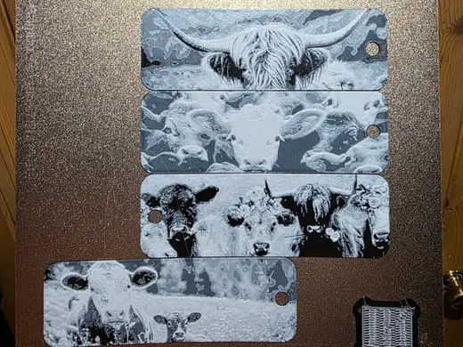 Cattle Life Hueforge Bookmark Set of 4 Black/White
