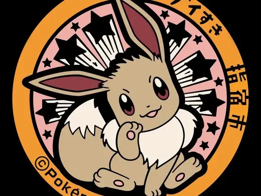 宝可梦井盖挂饰 鹿儿岛 伊布 8色打印