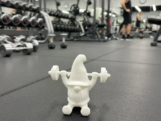 Gnomo Fitness