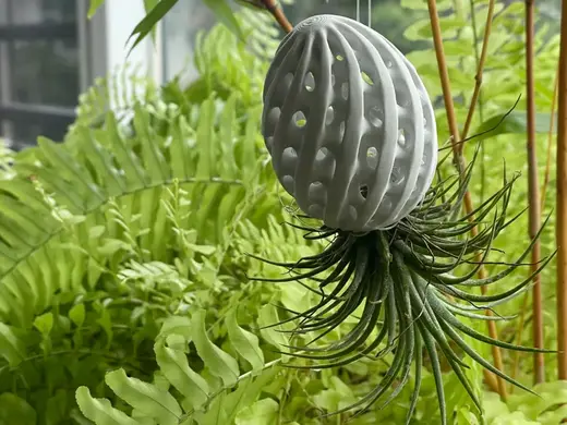 Hollow egg-Air plant holder
