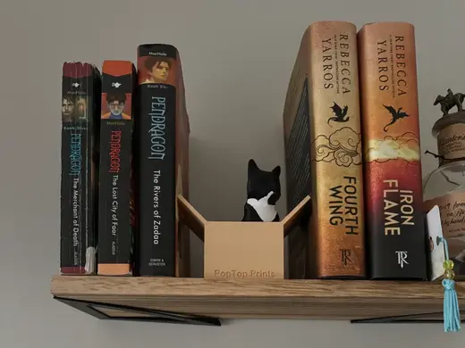 Cat in the Box Booknook