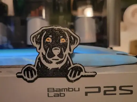 Labrador monitor pet