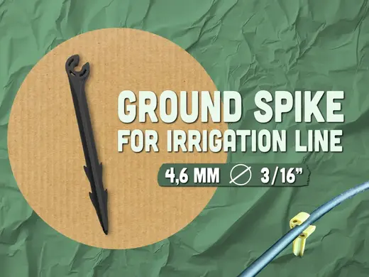 Ground spike for irrigation line