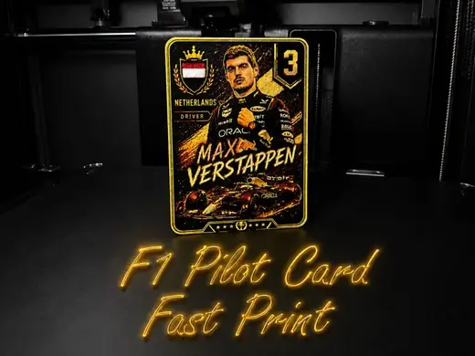 Max Verstappen F1 Pilot Card