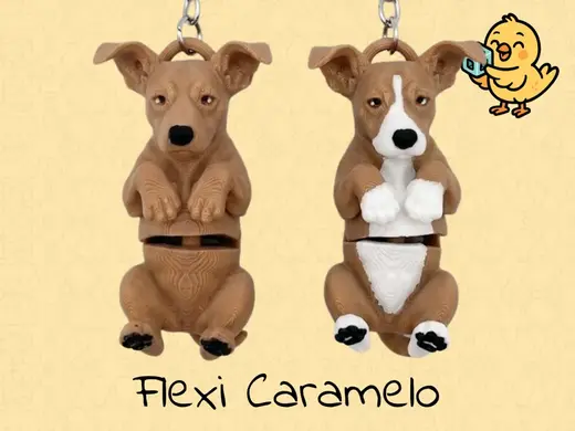 Caramelo Dog Keychain – Articulated Flexi Toy Cute
