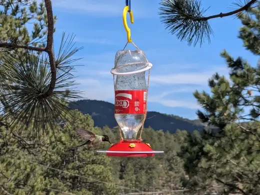 Recycled Hummingbird Feeder