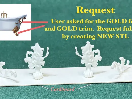 Special Request from User: for GOLD feet and trim