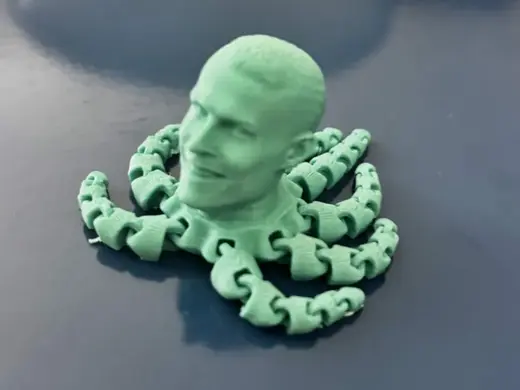 Cristiano Ronaldo Octopus (Ronaldopus)