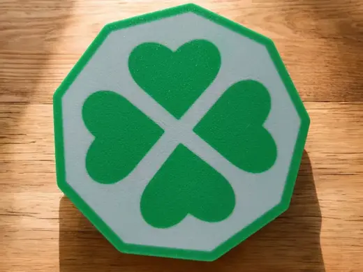 St. Patrick’s Day Clover Hexagon Coaster