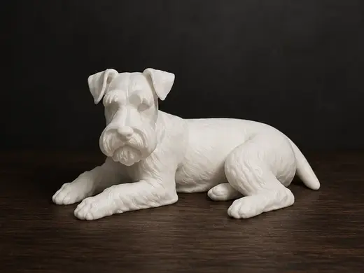 Schnauzer - Dog - Animal
