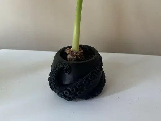 Octopus Tentacle Planter - Small Succulent Pot