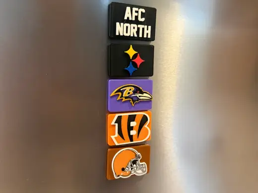 NFL AFC North Standings