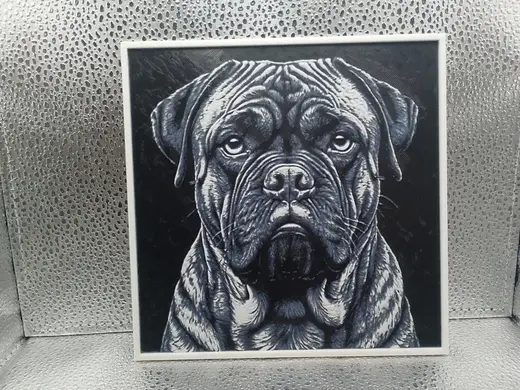 Bullmastiff - Hueforge