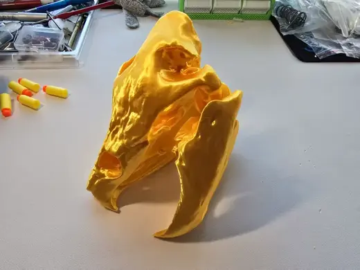 可开合鳄龟头骨