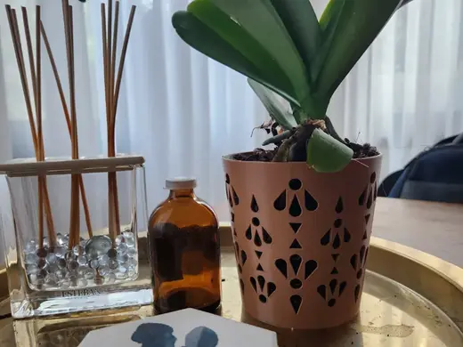 4.3 Inch Orchid Pots with Holes