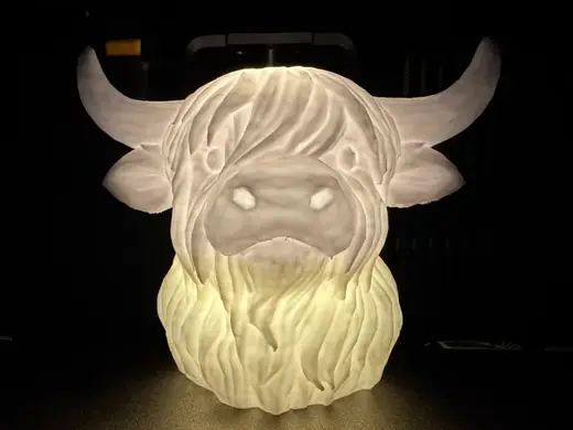 Hochlandrind Lampe
