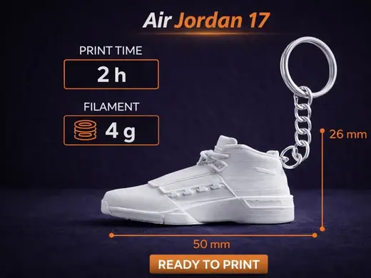 Schlüsselanhänger Air Jordan 17