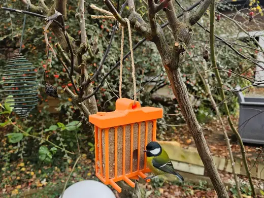 Mangeoire oiseaux